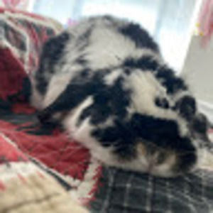 Meet your Posher, Valerie